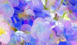 Abstract Flowers Computer Wallpapers, Desktop Backgrounds | 2048x1215 | ID:700089