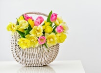 ID:700466 - Wallpaper Abyss  Tulips in a Basket 5k Retina Ultra HD Wallpaper | Background Image | 6256x4552 | ID:700466