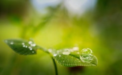 ID:771037 - Wallpaper Abyss  Water Drop HD Wallpaper | Background Image | 1920x1174 | ID:771037