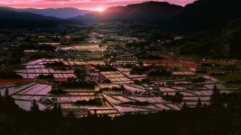 Another Full HD Wallpaper and Background Image | 1920x1080 | ID:771303