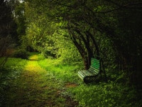 Bench Along Forest Path 4k Ultra HD Wallpaper | Background Image | 4239x3172 | ID:793733 - Wallpaper Abyss  Bench Along Forest... 