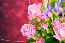 Rose 5k Retina Ultra HD Wallpaper and Background | 5616x3744 | ID:854007
