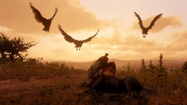 ID:950036 - Wallpaper Abyss  Vultures 4k Ultra HD Wallpaper | Background Image | 3840x2160 | ID:950036