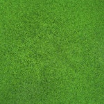 flower background 이미지 (147434310) - 게티이미지뱅크 147434310 - 게티이미지뱅크