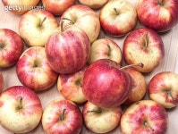 Red apples in wooden bucket 이미지 (498560594) - 게티이미지뱅크 498560594 - 게티이미지뱅크