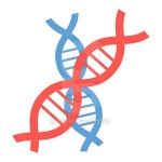 Icon (a10505868) - 게티이미지뱅크