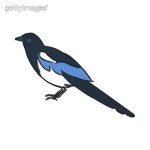 까치 and 설날 and 명절 and 2026년 이미지 - 게티이미지뱅크