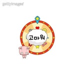 돼지 이미지 - 게티이미지뱅크 돼지  이미지 - 게티이미지뱅크