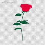 꽃 이미지 - 게티이미지뱅크