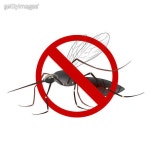No Mosquitos (1495187928) - 게티이미지뱅크