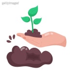 Eco Care (1467927006) - 게티이미지뱅크