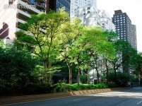 Urban park (1347203297) - 게티이미지뱅크