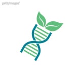 bio tech concept (1470128558) - 게티이미지뱅크