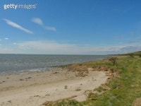 schaf 이미지 (466226568) - 게티이미지뱅크 466226568 - 게티이미지뱅크