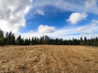 Meat Pie 이미지 (533009717) - 게티이미지뱅크 533009717 - 게티이미지뱅크