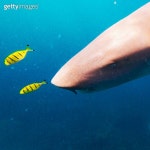 Fitness Series 이미지 (172871255) - 게티이미지뱅크 172871255 - 게티이미지뱅크