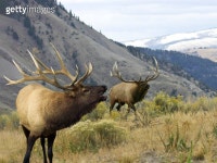 Stairs and archway. 이미지 (92262513) - 게티이미지뱅크 92262513 - 게티이미지뱅크