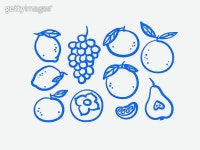 감 이미지 - 게티이미지뱅크 감  이미지 - 게티이미지뱅크