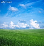 농장 이미지 - 게티이미지뱅크