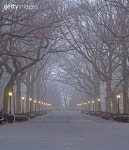 Dogwoods in the Park 이미지 (144188472) - 게티이미지뱅크 144188472 - 게티이미지뱅크
