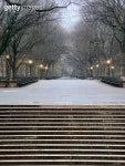 Dogwoods in the Park 이미지 (144188472) - 게티이미지뱅크 144188472 - 게티이미지뱅크