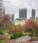Dogwoods in the Park 이미지 (144188472) - 게티이미지뱅크 144188472 - 게티이미지뱅크