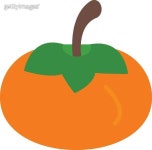 감 이미지 - 게티이미지뱅크 감  이미지 - 게티이미지뱅크