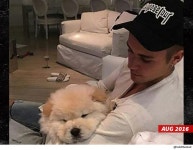 Justin Bieber Gives Away Another Dog, New Owner Paying Hefty Price Justin Bieber Gives Away Another Dog, New Owner Paying Hefty... 