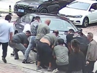 Chubby Dog Run Over by Car, Unharmed Due to Protective Layer, on Video