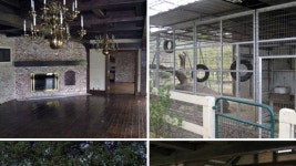 Inside Neverland Ranch