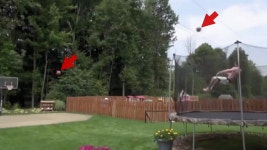 Most Amazing Basketball Trick Shot Ever (VIDEO)