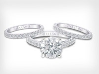 Botched Star Dr. Paul Nassif Drops $174k for Engagement, Wedding Rings