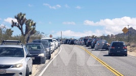 Joshua Tree Park Besieged by Out-of-Towners, Local Neighbors Pissed