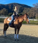 Stars With Horses -- Hay!