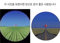 더쿠 - 눈 좋은 사람은 모르는 이미지.jpg