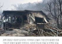 더쿠 - 마을이 통째로 소실돼 영양 산불 피해 속출, 참혹한 모습