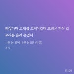 더쿠 - 상사가 토끼머리띠쓰고 나 어떠냐고 물어보면.... 비서 극한직업