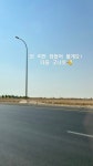 더쿠 - 냥스타스토리 무물💛