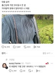 더쿠 - 대충 사는 사람들.jpg