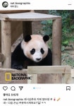 더쿠 - 레시삼촌네 카페에서 알바하는 공주