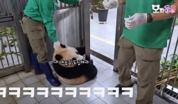 더쿠 - 야 아침길 됴심해라ㅋㅋㅋㅋㅋㅋㅋㅋ
