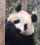 더쿠 - 애기 또 손쫍쫍 했네