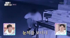 더쿠 - [분노주의] 이번 주 동물은 훌륭하다에서 다룬 고양이 학대범