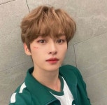 더쿠 - 쪼푸 리노 보고싶다