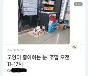 더쿠 - 고양이 좋아하는 사람 구한다는 cu 알바 공고...jpg