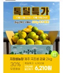 더쿠 - 제주도 서귀포 극조생 감귤 꿀귤🍊2키로 6210원