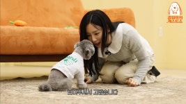 더쿠 - 태연이 개스트쇼 내내 바닥에 무릎 꿇고 있는데..