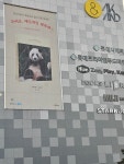 더쿠 - 기흥역 AK 외벽에 엄청 큰 푸바오 책광고 걸렸더라