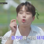 킹가요궁 | 더쿠 - [방판뮤직 어디든 가요] 궁궁이 머리에 단 이찬원