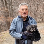 더쿠 - 문토리 강아지별 감...